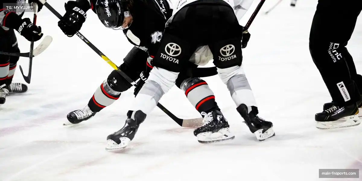 蜂鸟网🌟 从历史到当下,见证体育精神永恒